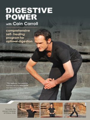 cover image of Digestive Power